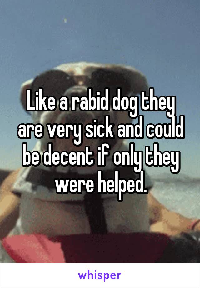 Like a rabid dog they are very sick and could be decent if only they were helped.