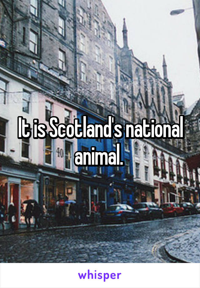 It is Scotland's national animal. 