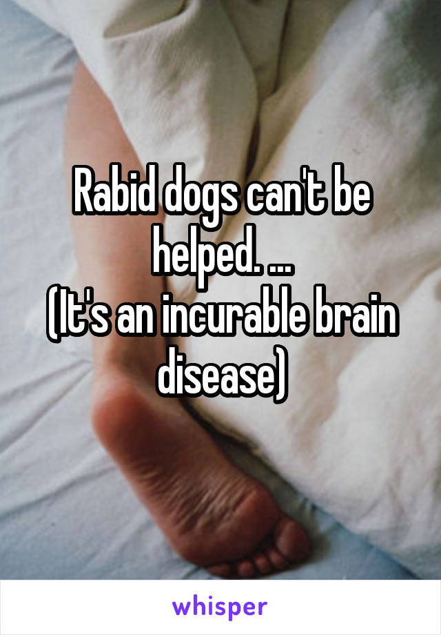 Rabid dogs can't be helped. ...
(It's an incurable brain disease)
 
