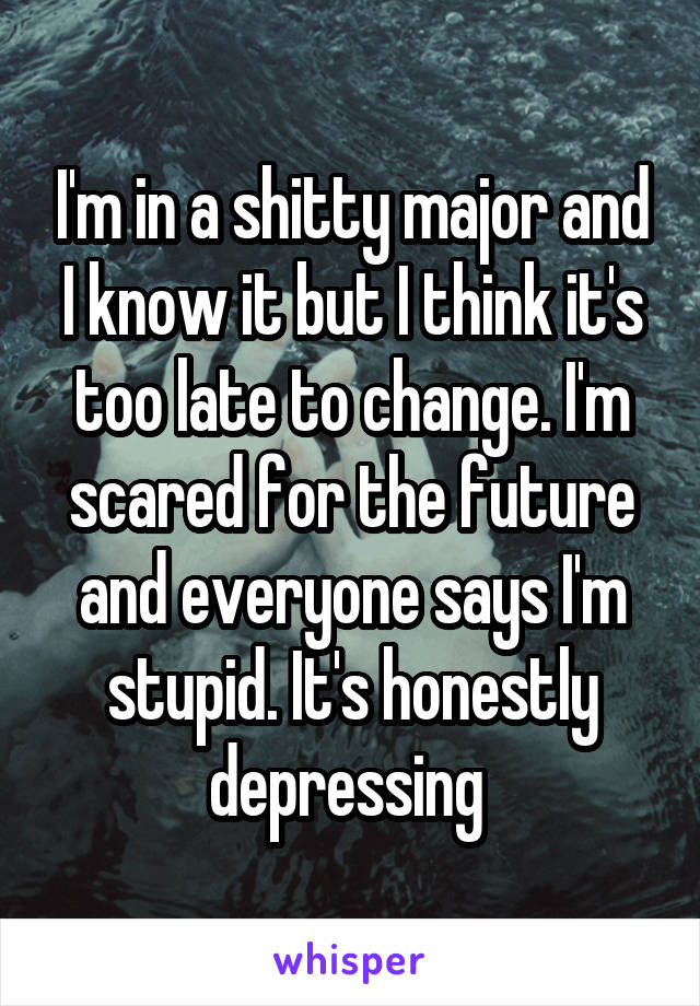 I'm in a shitty major and I know it but I think it's too late to change. I'm scared for the future and everyone says I'm stupid. It's honestly depressing 