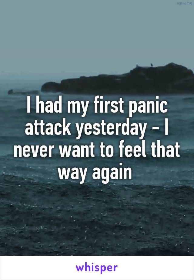I had my first panic attack yesterday - I never want to feel that way again 