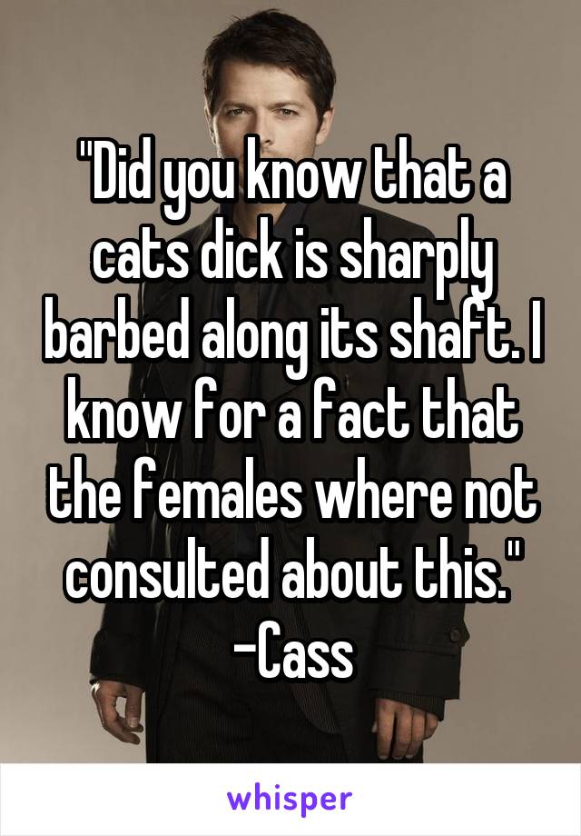 "Did you know that a cats dick is sharply barbed along its shaft. I know for a fact that the females where not consulted about this."
-Cass