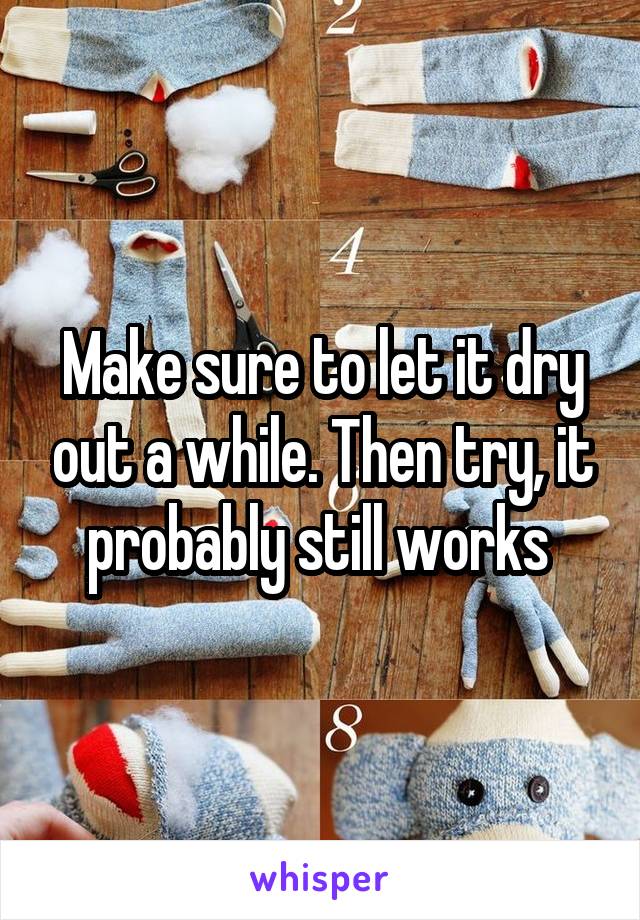 Make sure to let it dry out a while. Then try, it probably still works 