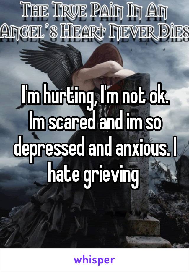 I'm hurting, I'm not ok. Im scared and im so depressed and anxious. I hate grieving 