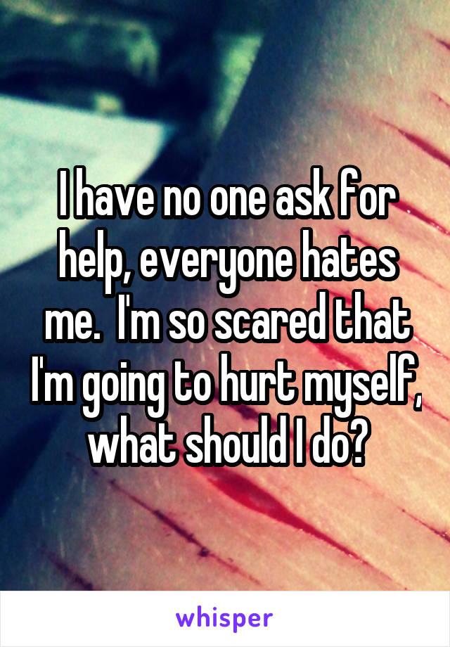I have no one ask for help, everyone hates me.  I'm so scared that I'm going to hurt myself, what should I do?
