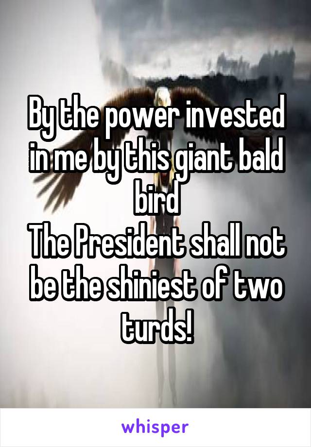 By the power invested in me by this giant bald bird
The President shall not be the shiniest of two turds!