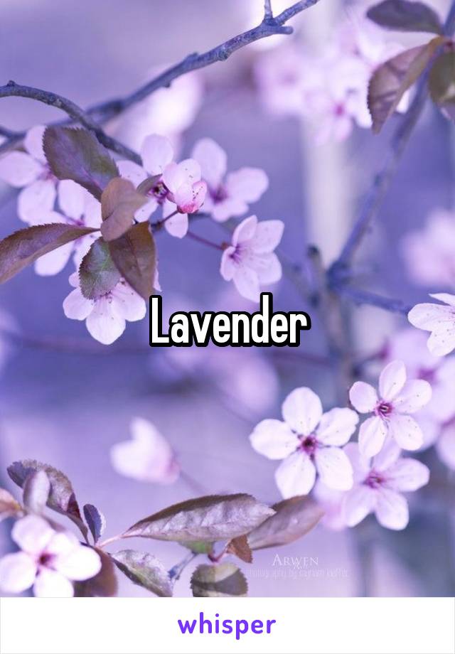 Lavender