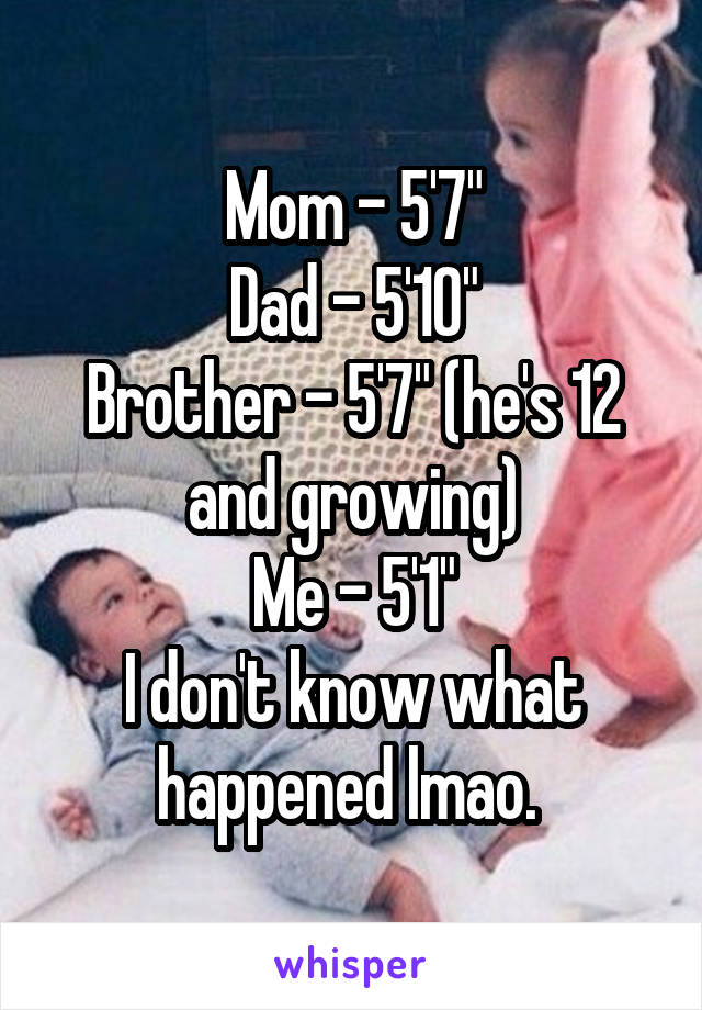 Mom - 5'7"
Dad - 5'10"
Brother - 5'7" (he's 12 and growing)
Me - 5'1"
I don't know what happened lmao. 