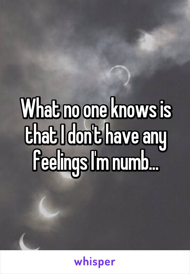 What no one knows is that I don't have any feelings I'm numb...
