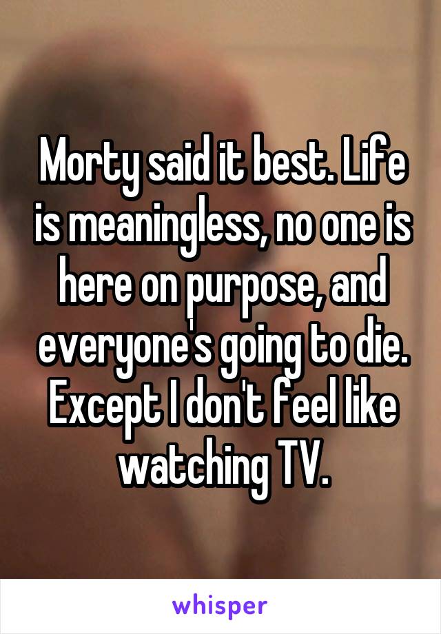 Morty said it best. Life is meaningless, no one is here on purpose, and everyone's going to die. Except I don't feel like watching TV.