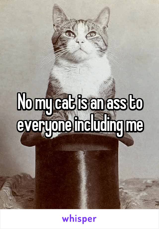 No my cat is an ass to everyone including me