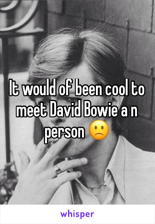 It would of been cool to meet David Bowie a n person 🙁