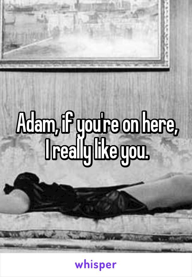 Adam, if you're on here, I really like you.