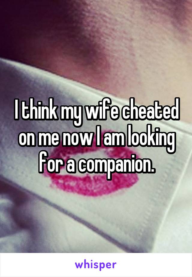 I think my wife cheated on me now I am looking for a companion.