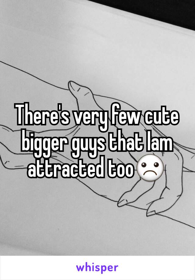 There's very few cute bigger guys that Iam attracted too☹