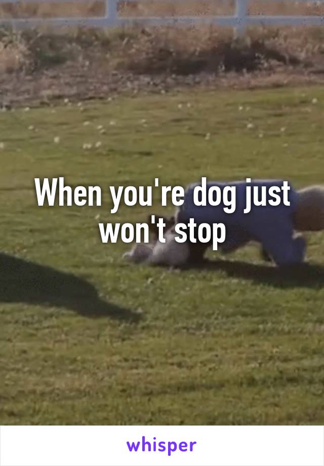 When you're dog just won't stop
