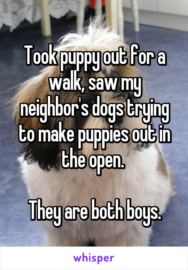 Took puppy out for a walk, saw my neighbor's dogs trying to make puppies out in the open. 

They are both boys.