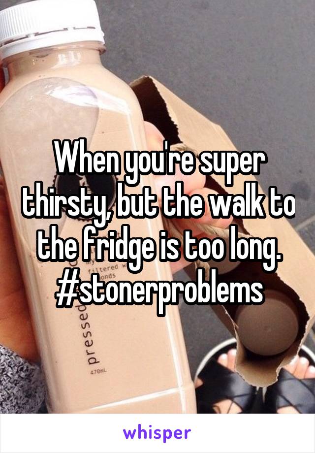 When you're super thirsty, but the walk to the fridge is too long.
#stonerproblems