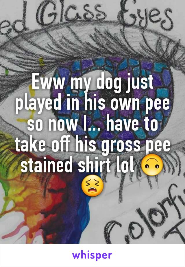 Eww my dog just played in his own pee so now I... have to take off his gross pee stained shirt lol 🙃😣