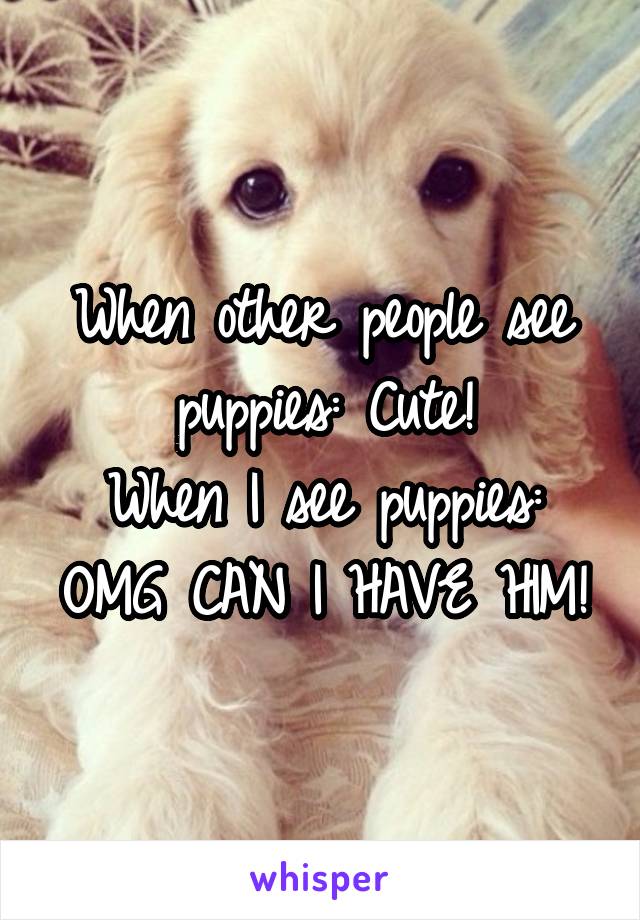 When other people see puppies: Cute!
When I see puppies: OMG CAN I HAVE HIM!