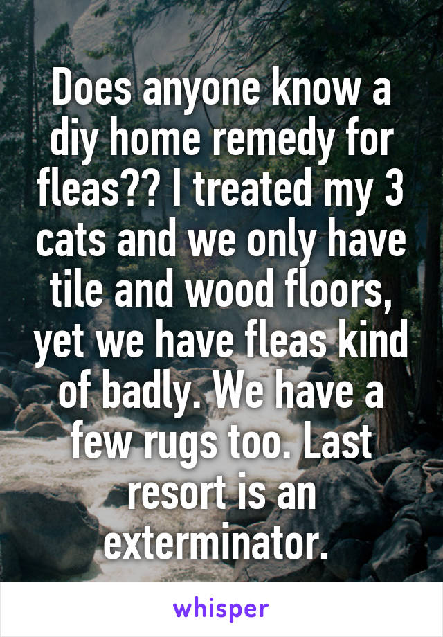 Does anyone know a diy home remedy for fleas?? I treated my 3 cats and we only have tile and wood floors, yet we have fleas kind of badly. We have a few rugs too. Last resort is an exterminator. 