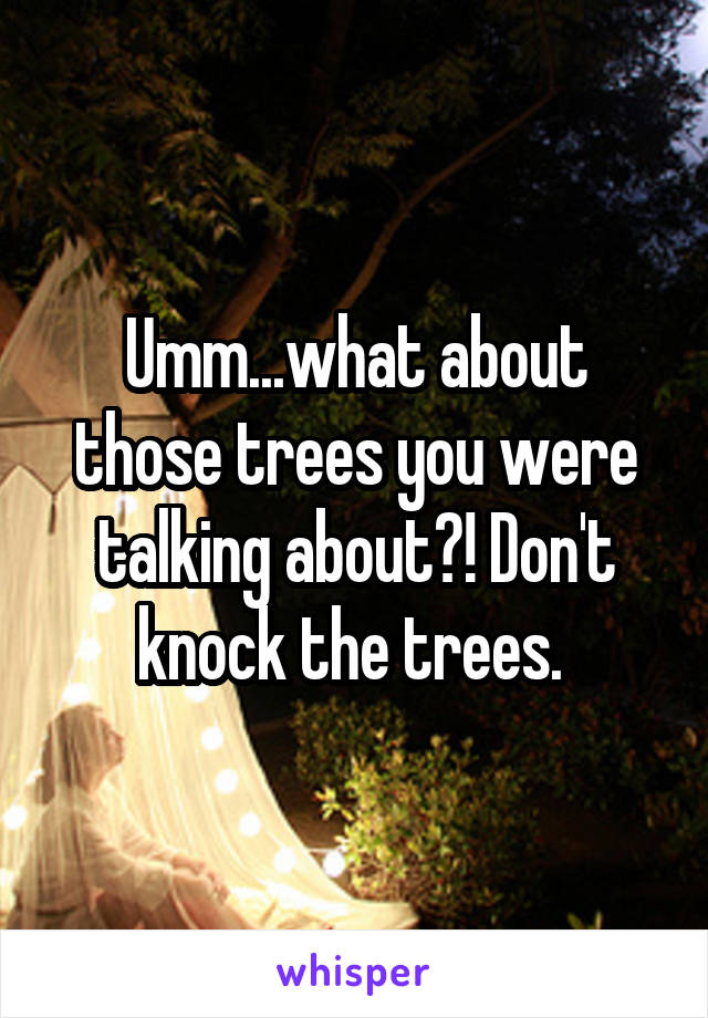 Umm...what about those trees you were talking about?! Don't knock the trees. 