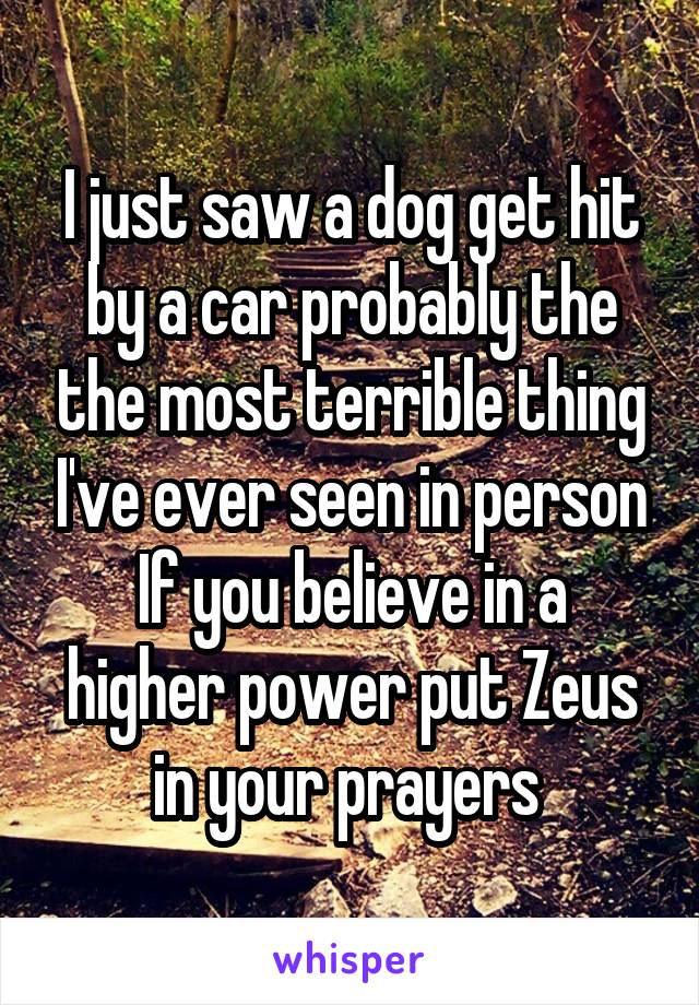 I just saw a dog get hit by a car probably the the most terrible thing I've ever seen in person
If you believe in a higher power put Zeus in your prayers 