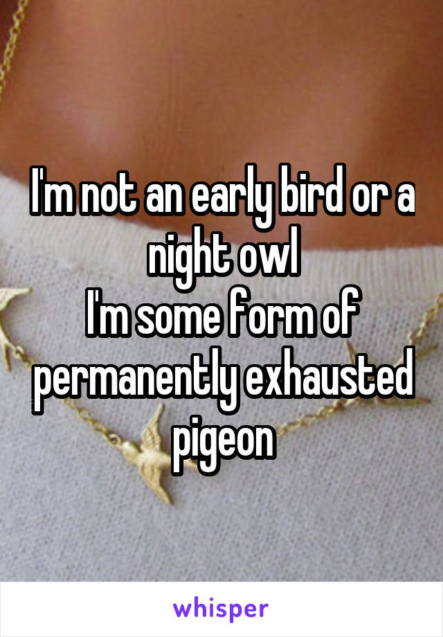 I'm not an early bird or a night owl
I'm some form of permanently exhausted pigeon