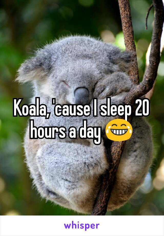 Koala, 'cause I sleep 20 hours a day 😂