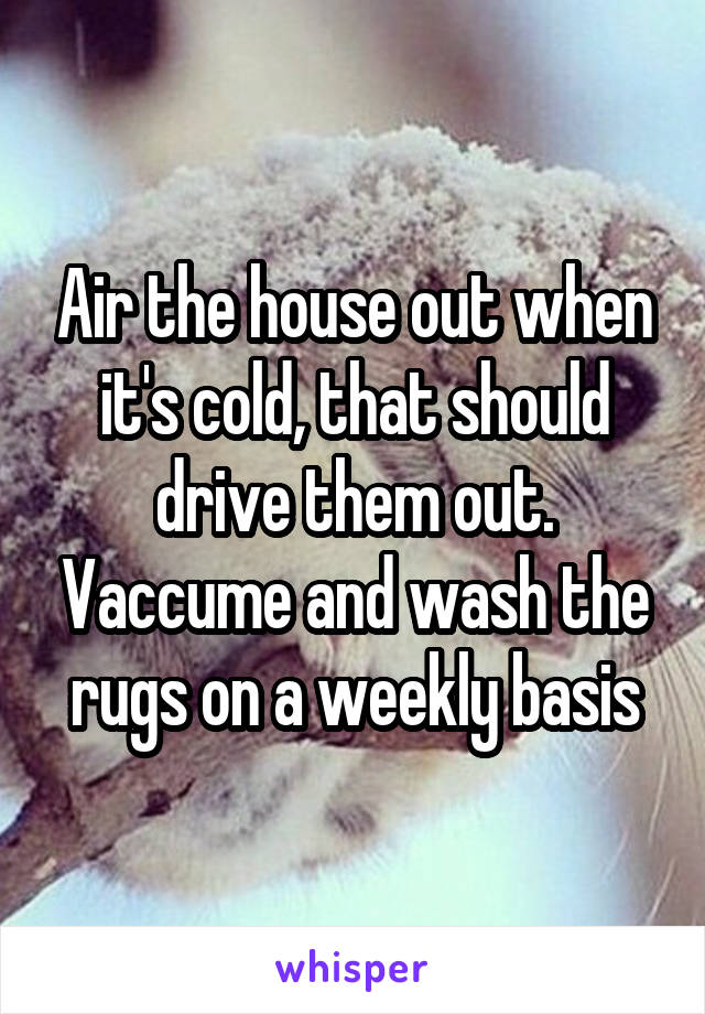 Air the house out when it's cold, that should drive them out. Vaccume and wash the rugs on a weekly basis