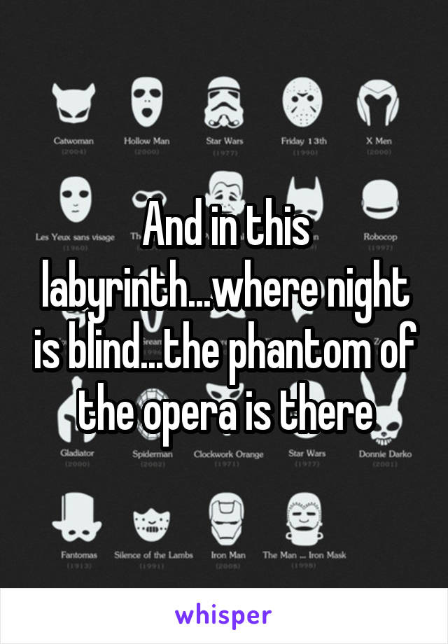 And in this labyrinth...where night is blind...the phantom of the opera is there