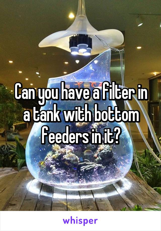Can you have a filter in a tank with bottom feeders in it?