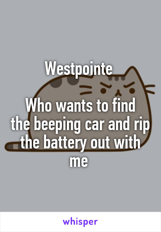 Westpointe 

Who wants to find the beeping car and rip the battery out with me 