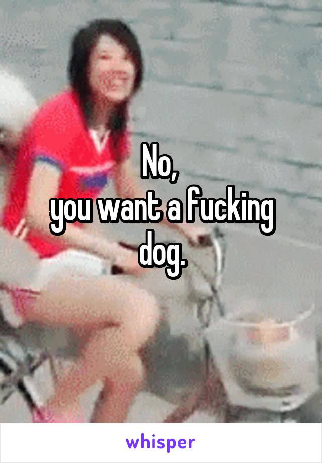 No, 
you want a fucking dog.
