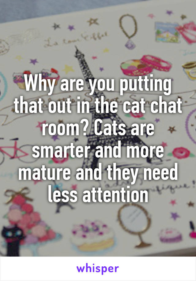 Why are you putting that out in the cat chat room? Cats are smarter and more mature and they need less attention
