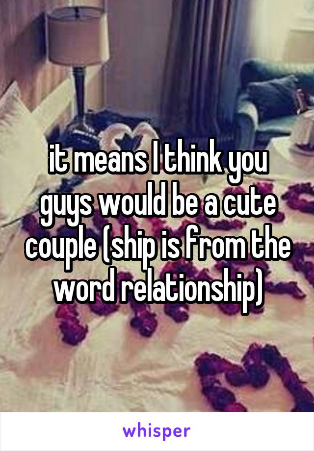 it means I think you guys would be a cute couple (ship is from the word relationship)