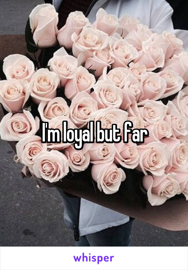 I'm loyal but far