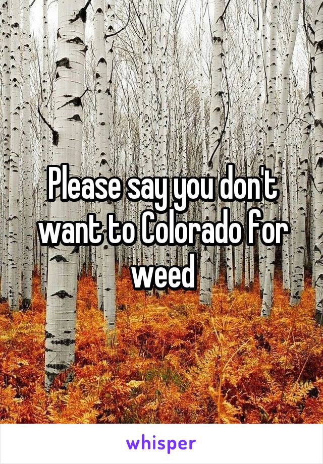 Please say you don't want to Colorado for weed