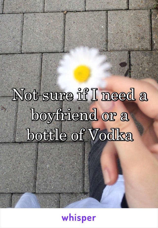 Not sure if I need a boyfriend or a bottle of Vodka