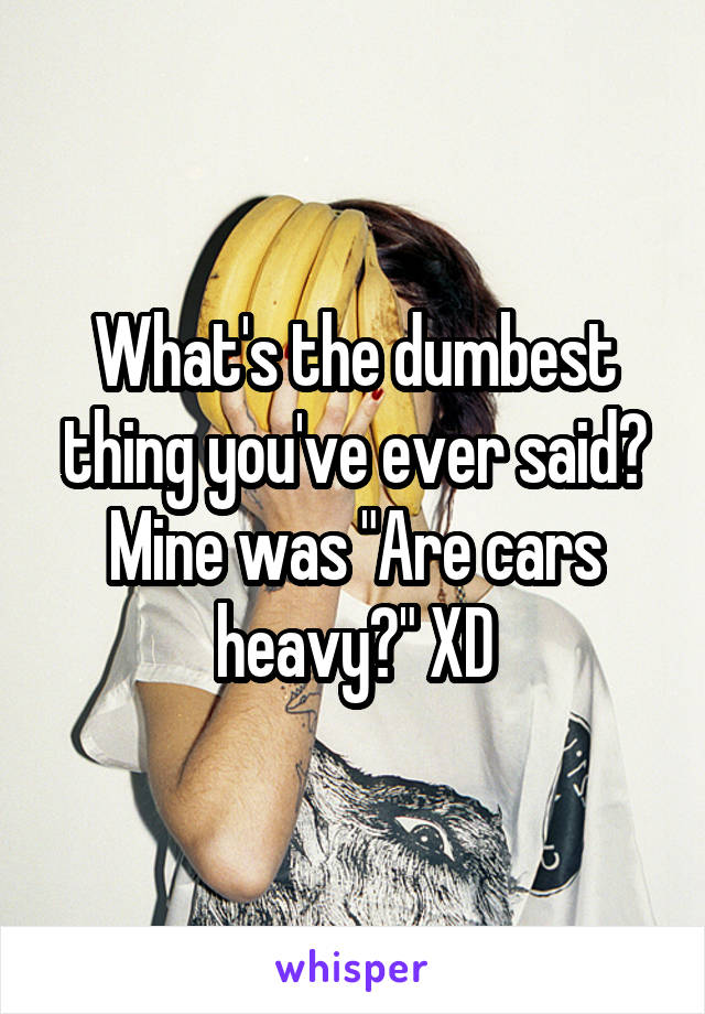 What's the dumbest thing you've ever said? Mine was "Are cars heavy?" XD