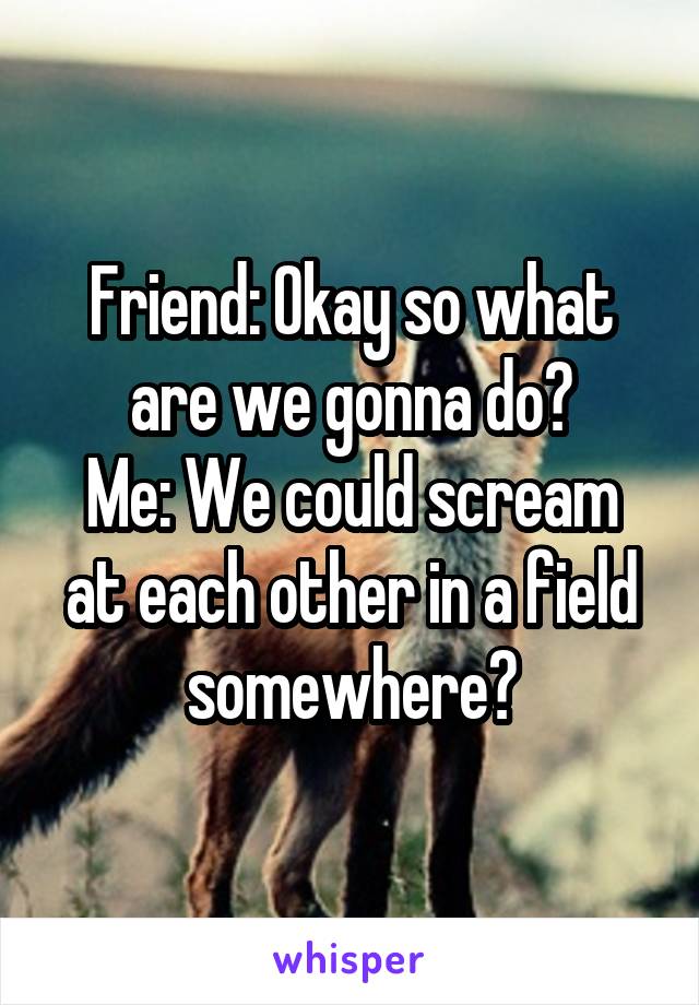 Friend: Okay so what are we gonna do?
Me: We could scream at each other in a field somewhere?
