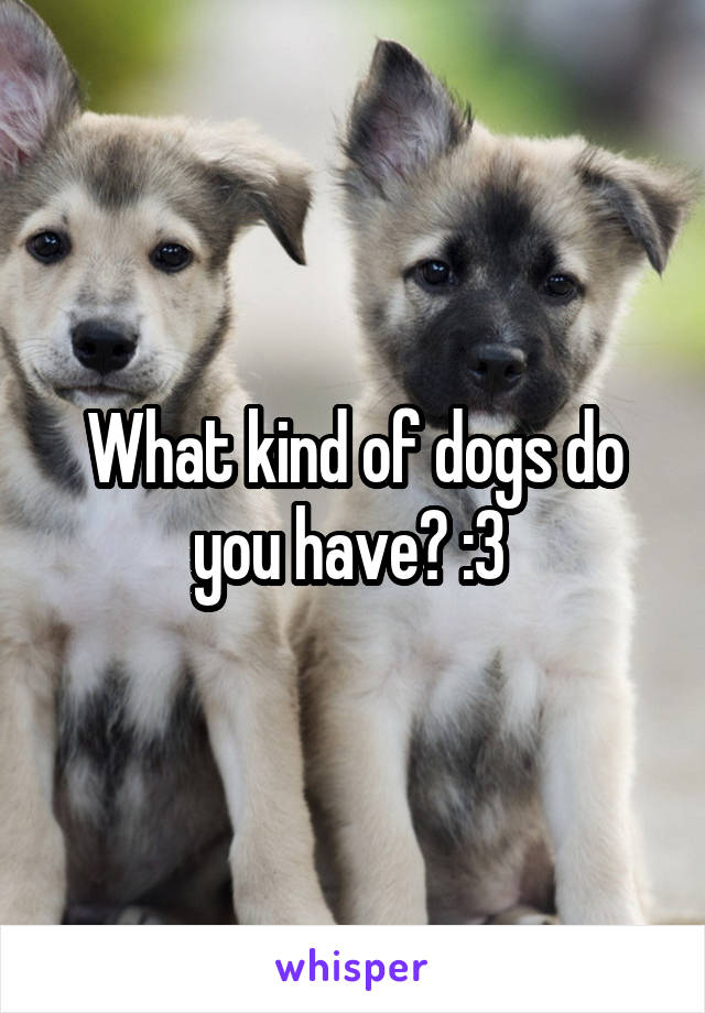 What kind of dogs do you have? :3 