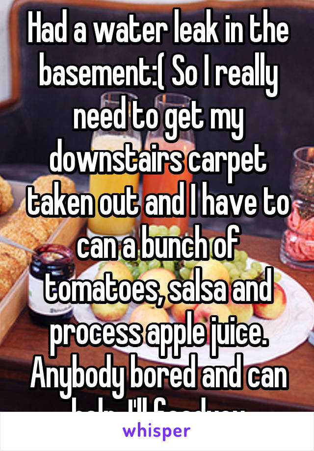 Had a water leak in the basement:( So I really need to get my downstairs carpet taken out and I have to can a bunch of tomatoes, salsa and process apple juice. Anybody bored and can help. I'll feedyou