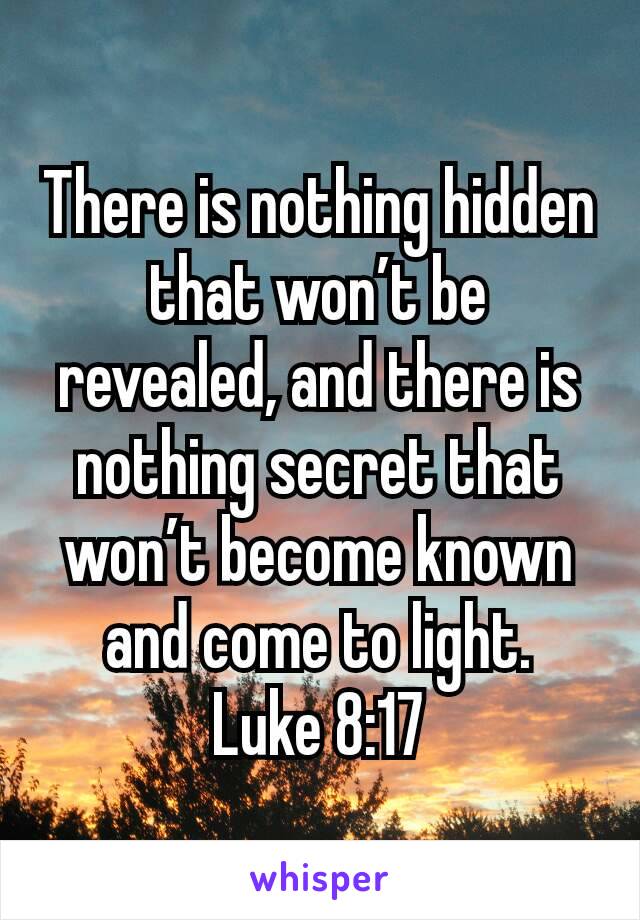 There is nothing hidden that won’t be revealed, and there is nothing secret that won’t become known and come to light.
Luke 8:17