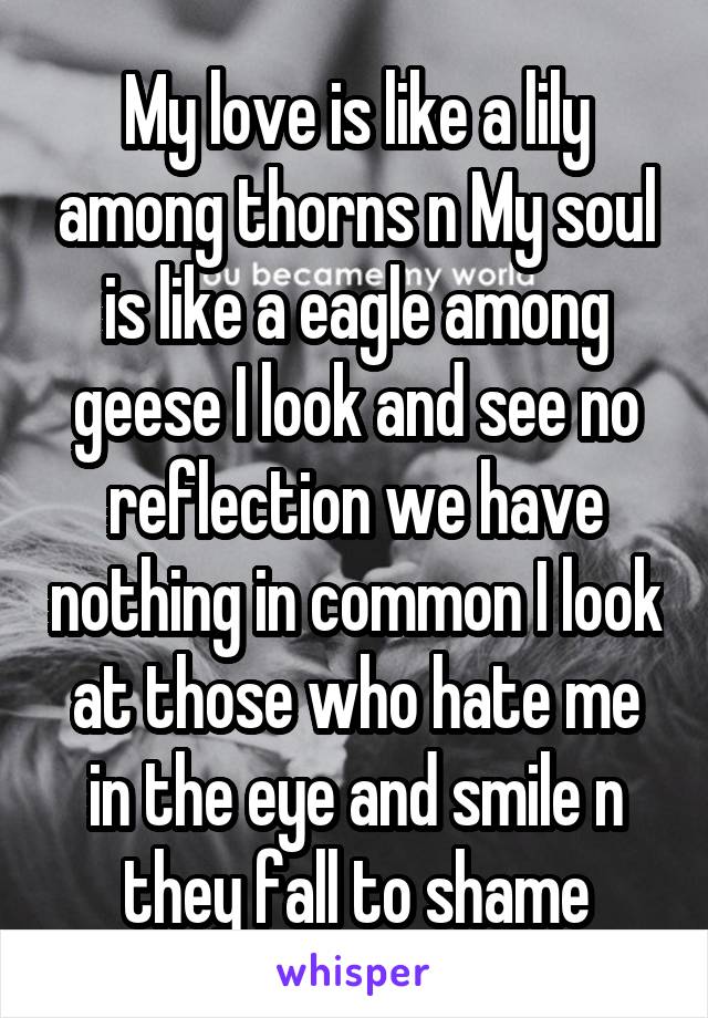 My love is like a lily among thorns n My soul is like a eagle among geese I look and see no reflection we have nothing in common I look at those who hate me in the eye and smile n they fall to shame