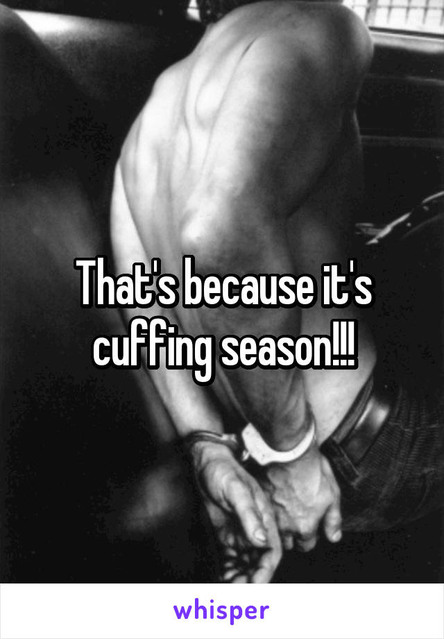 That's because it's cuffing season!!!