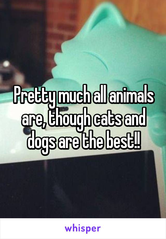 Pretty much all animals are, though cats and dogs are the best!!