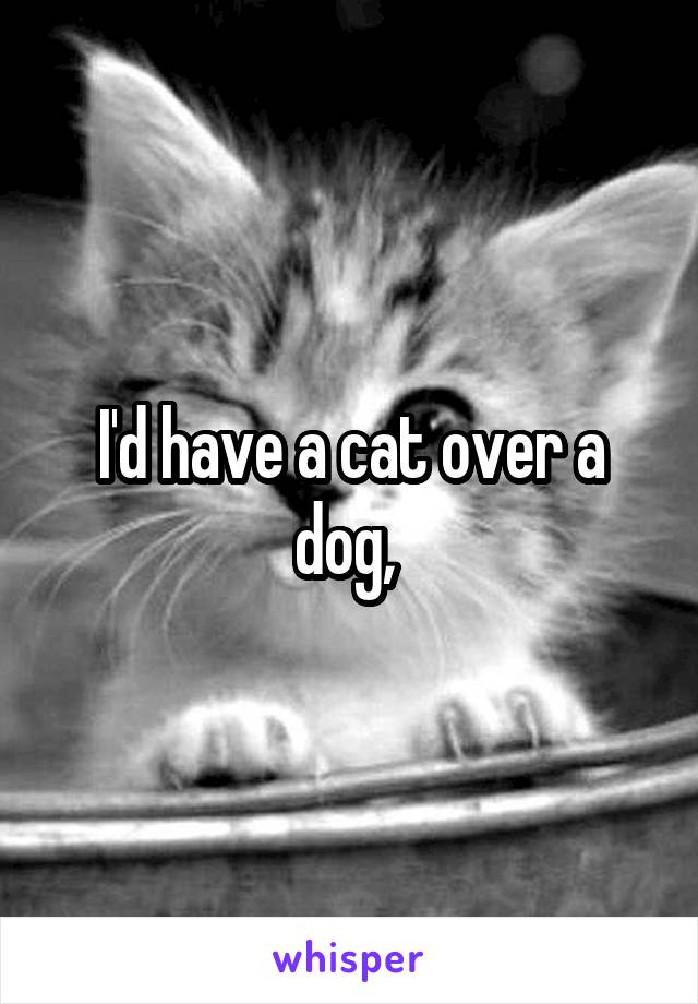 I'd have a cat over a dog, 