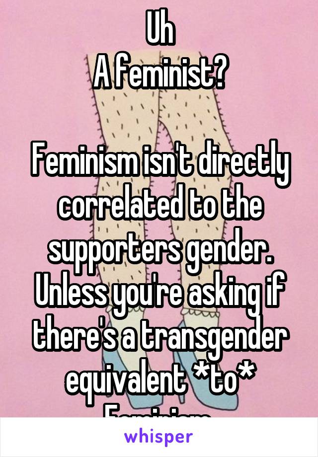 Uh
A feminist?

Feminism isn't directly correlated to the supporters gender.
Unless you're asking if there's a transgender equivalent *to* Feminism 