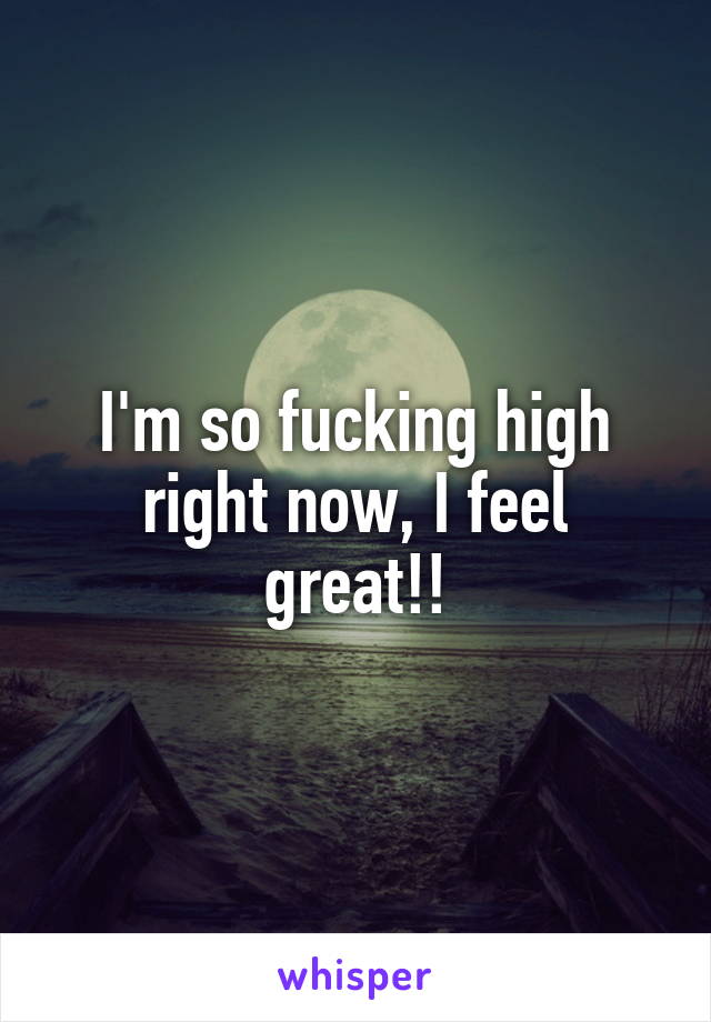 I'm so fucking high right now, I feel great!!